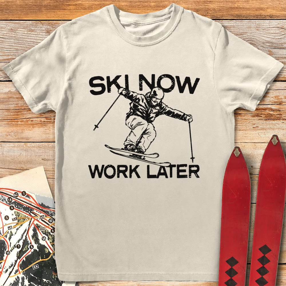 Ski Now Work Later product image 1