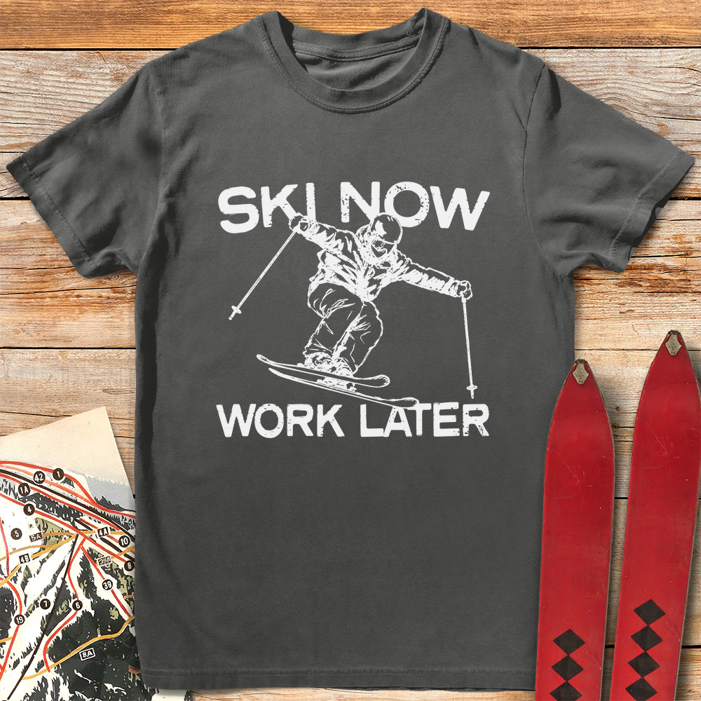 Ski Now Work Later product image 6