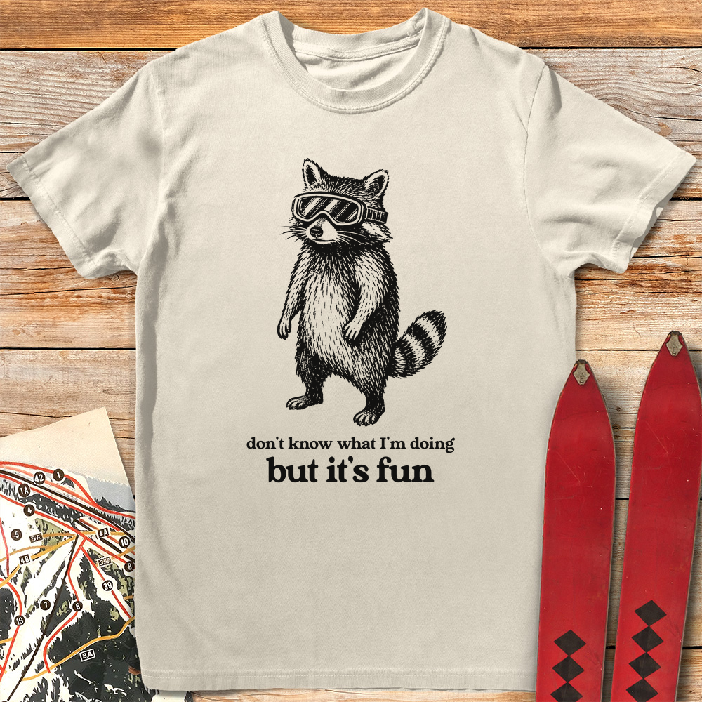 But It's Fun product image 2