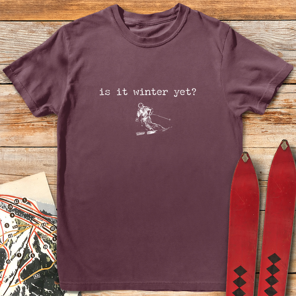 Is It Winter Ski product image 2