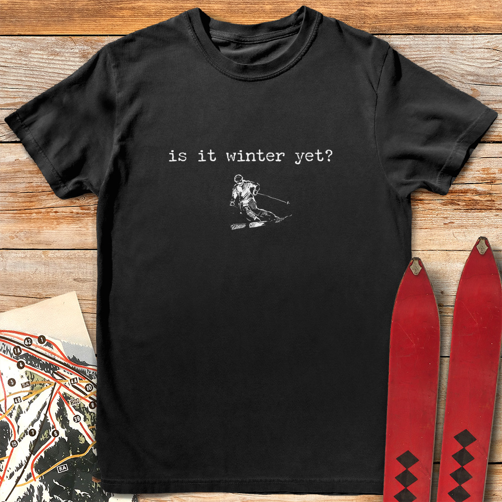 Is It Winter Ski product image 3
