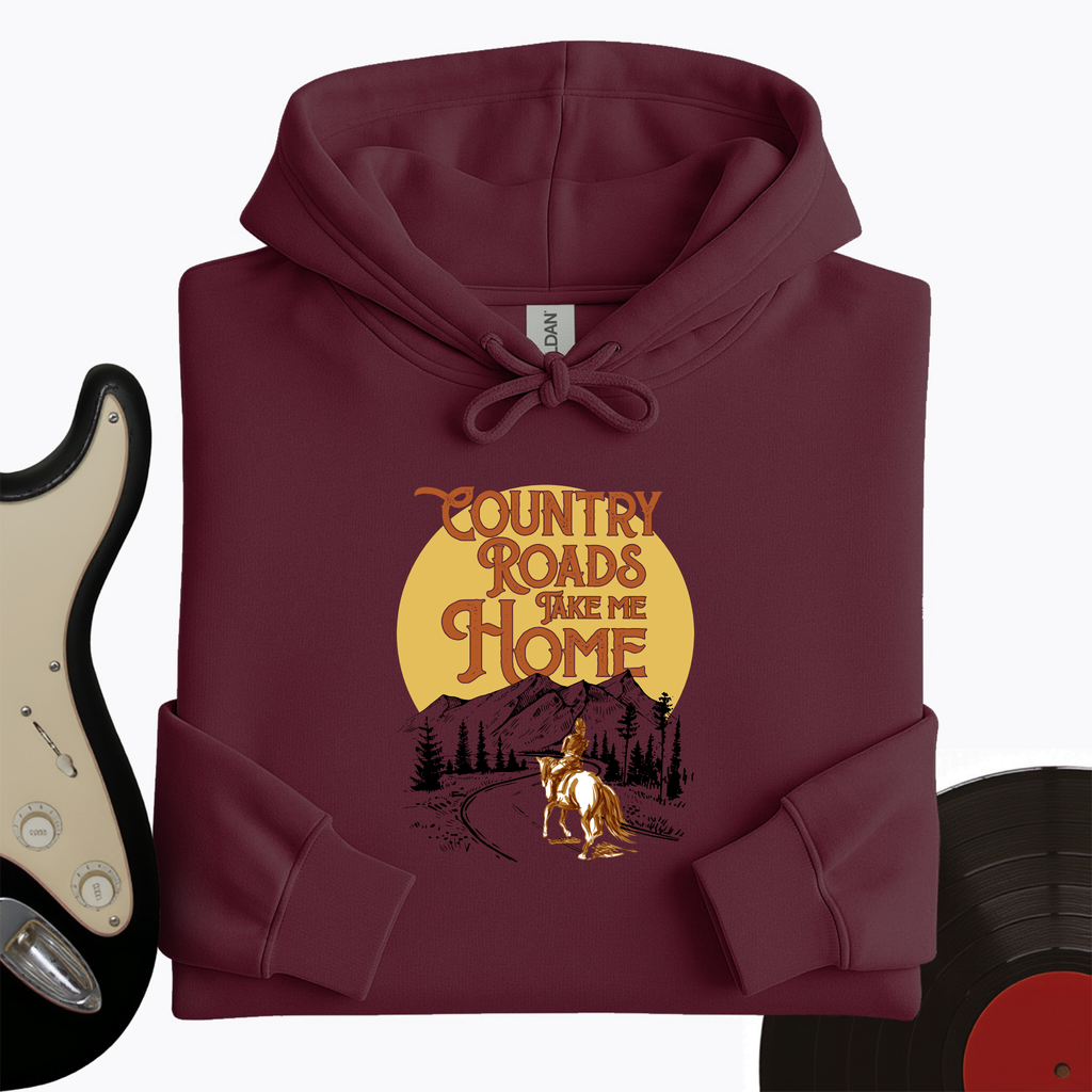 Take Me Home Hoodie product image 2