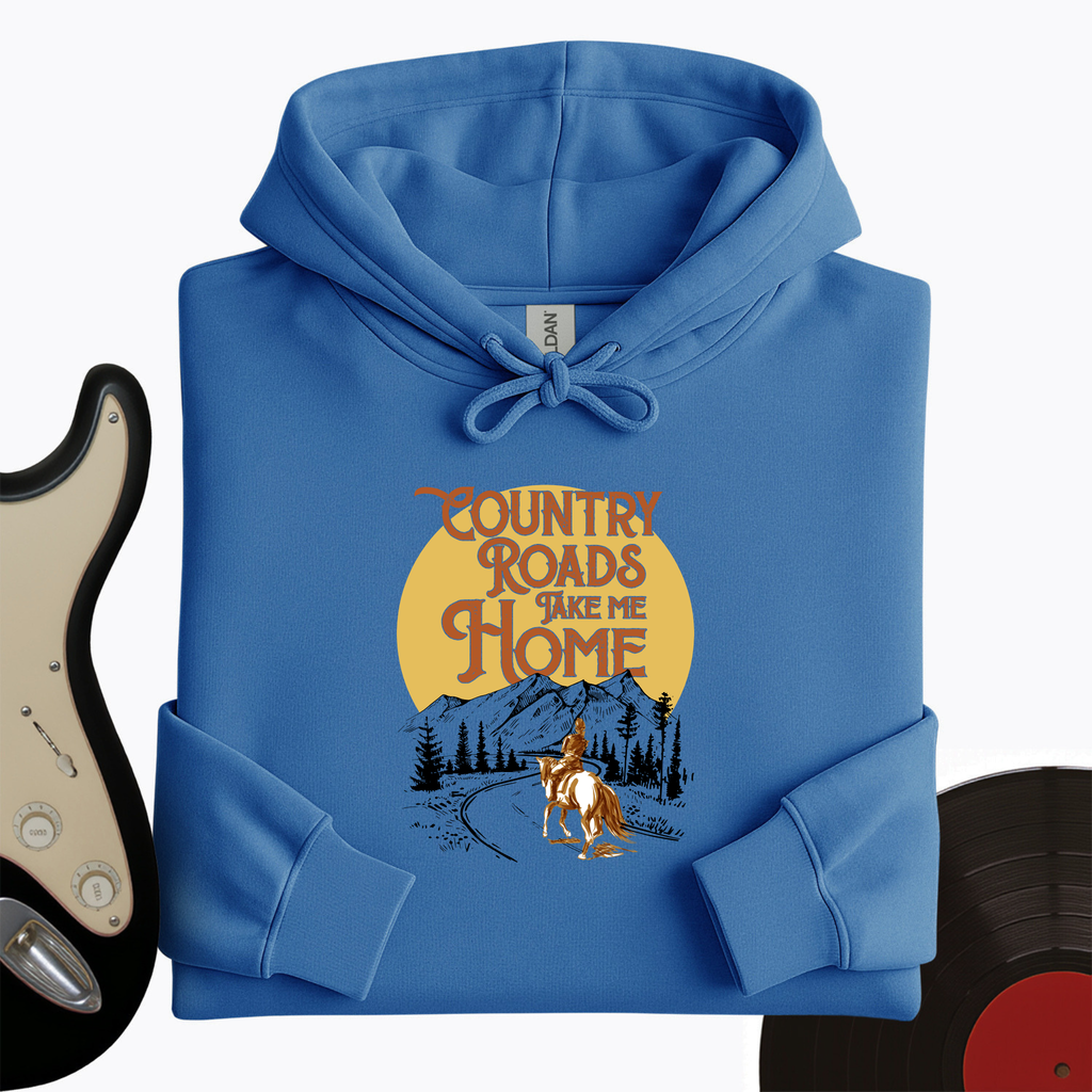 Take Me Home Hoodie product image 5