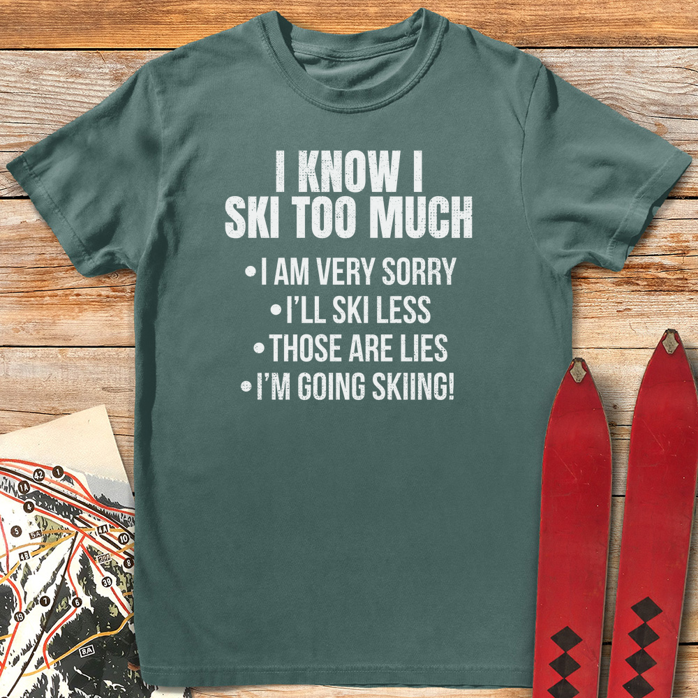 Ski Less product image 1