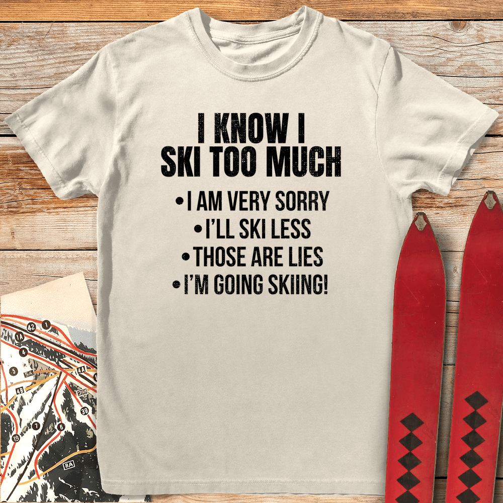 Ski Less product image 4