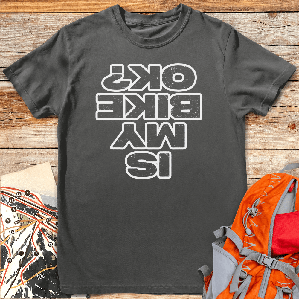 Is My Bike Ok product image 6