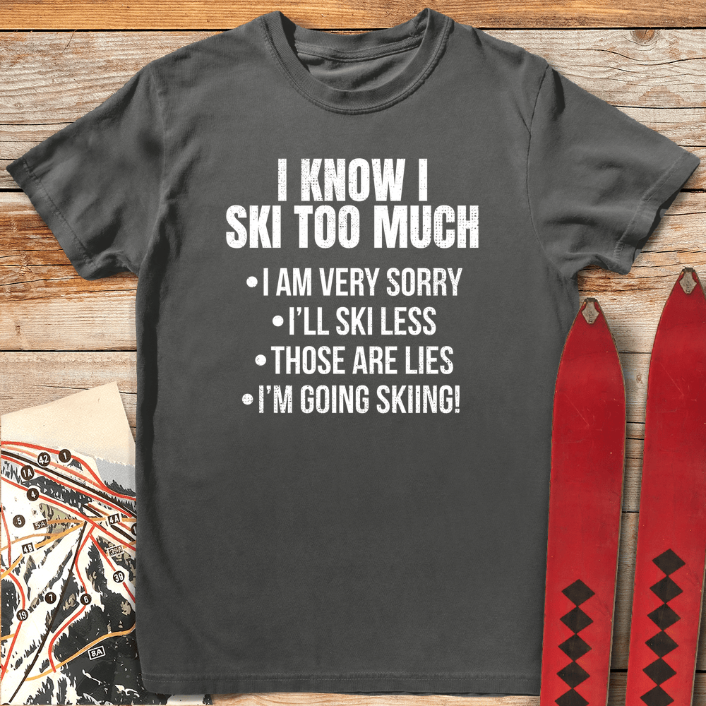 Ski Less product image 6