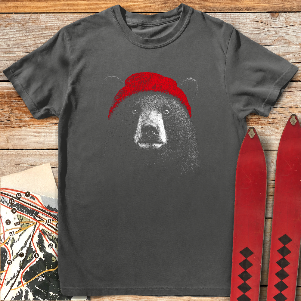 Beanie Bear product image 5