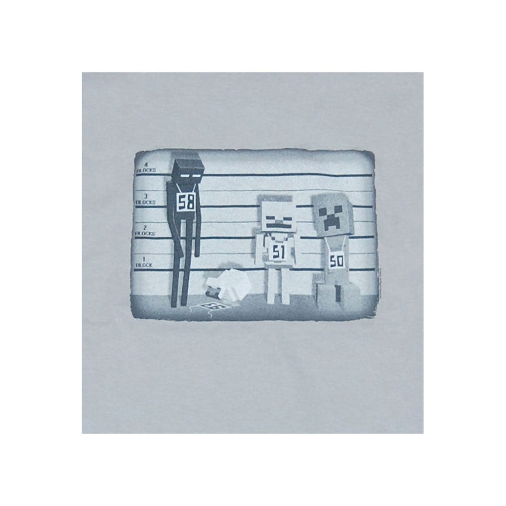 Minecraft Lineup Youth T-Shirt product image 2