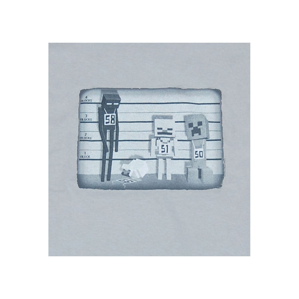 Minecraft Lineup Youth T-Shirt product image 2